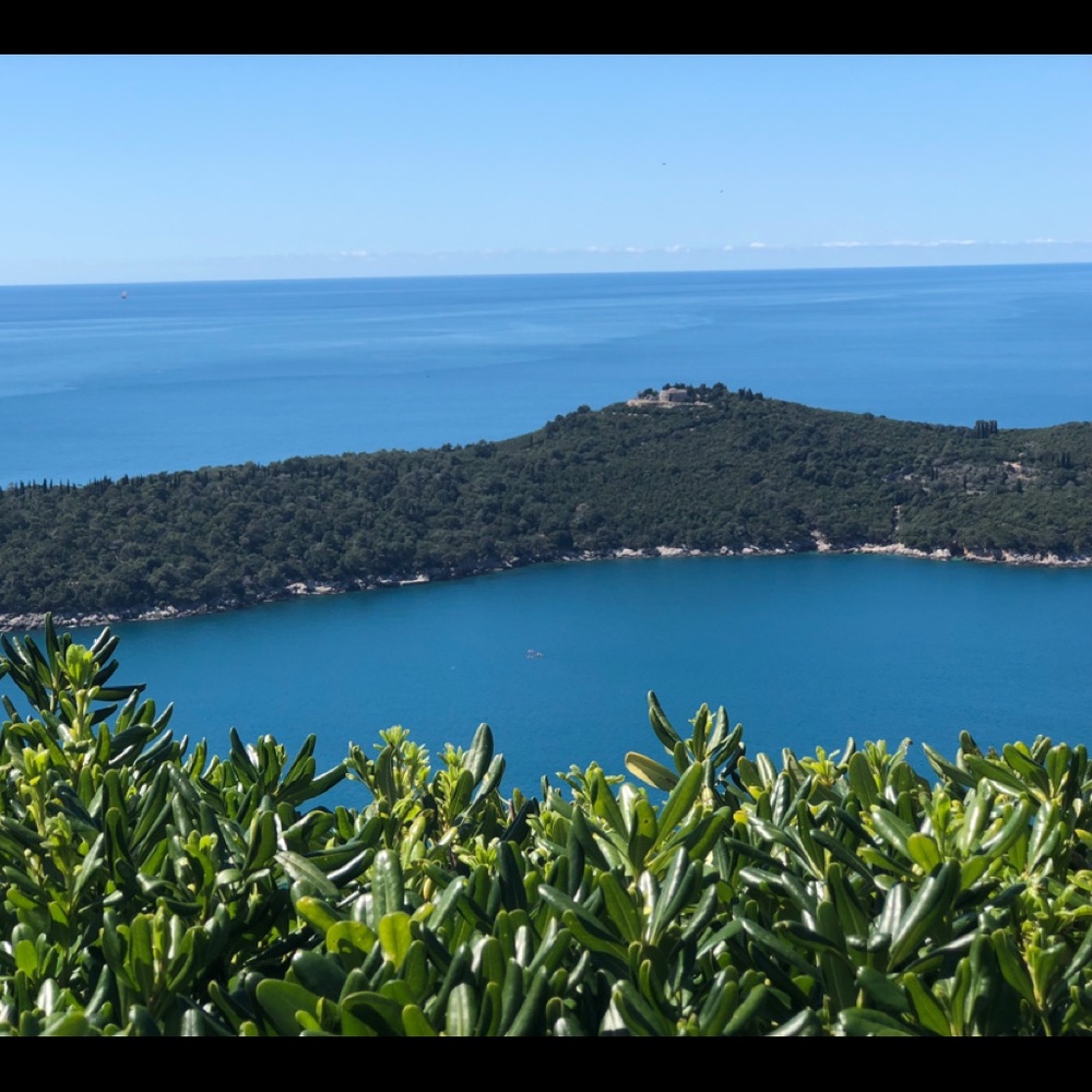 Meet your Posher, Em